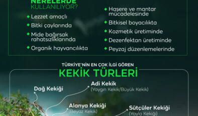 Dünya bu mucize bitkiyi Türkiyeden alıyor