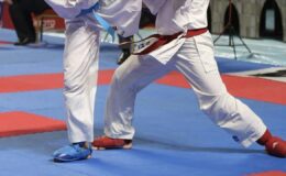 Milli karateciler, 2025’te 100’ü altın 376 madalya kazandı