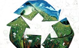 Sıfır atıkta küresel merkez İstanbul oluyor