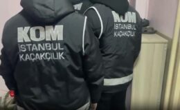 İstanbul merkezli sahte fatura operasyonu: 24 gözaltı
