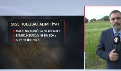TMO’dan kritik karar! 2026 hububat alım fiyatları belli oldu