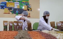 74 ilde atık gıdalar hayvan mamasına dönüştürülüyor