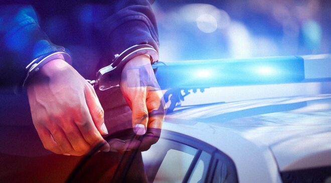 Daltonlar suç örgütüne operasyon: 26 gözaltı