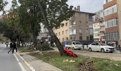 Eyüpsultan’da İBB’ye ağaç tepkisi