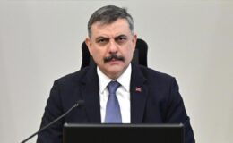 İçişleri Bakanı Çiftçi: Sahipsiz sokak hayvanlarının tamamını topladık