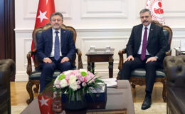 Sokak hayvanlarının toplanmasında hedef sayılara ilişkin son durum ele alındı