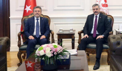 Sokak hayvanlarının toplanmasında hedef sayılara ilişkin son durum ele alındı