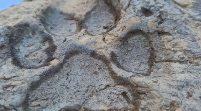 Tavşanlı Höyük kazılarında 4 bin yıllık pati izleri bulundu